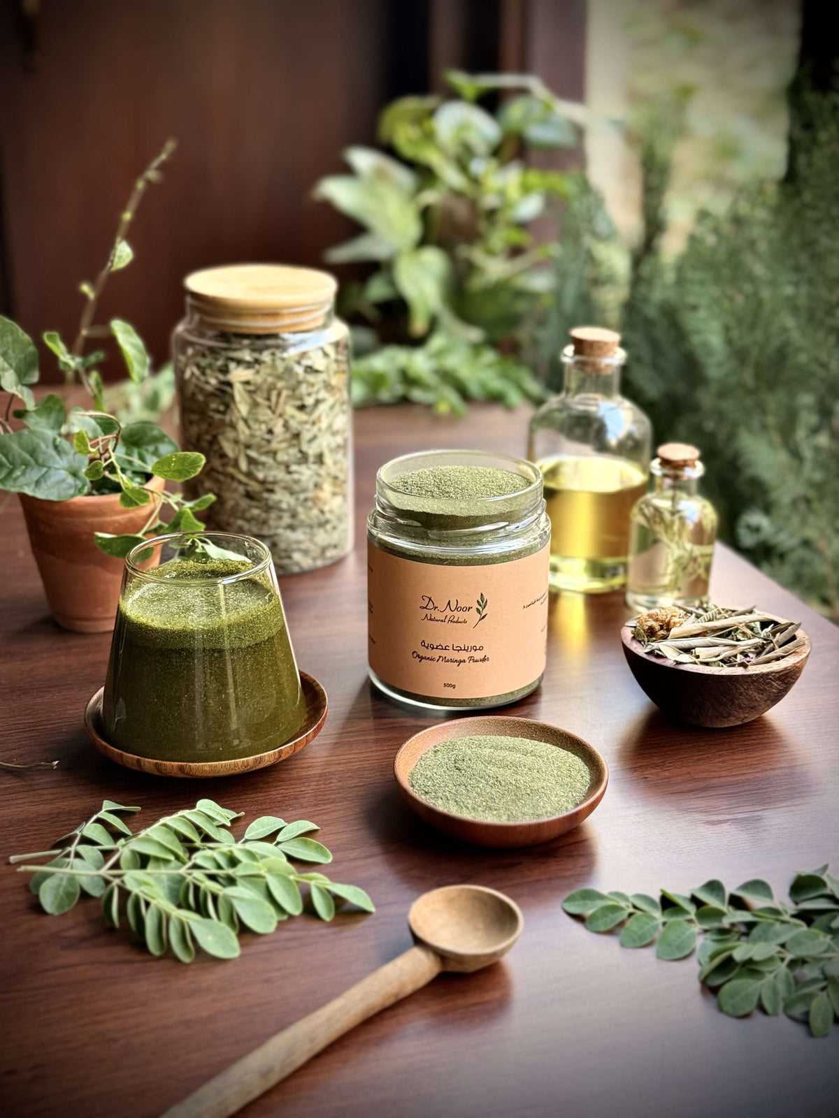 Dr Noor organic moringa powder for immunity
