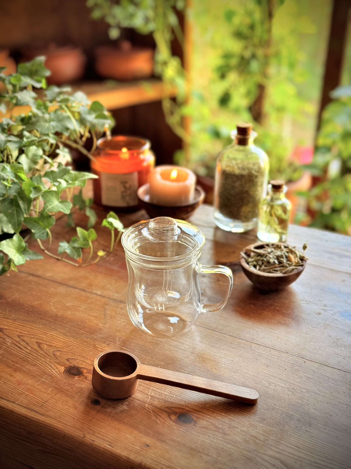 Dr Noor glass tea cup for herbs and infusions