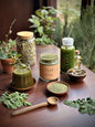 Organic Moringa Powder with Glass Water Bottle