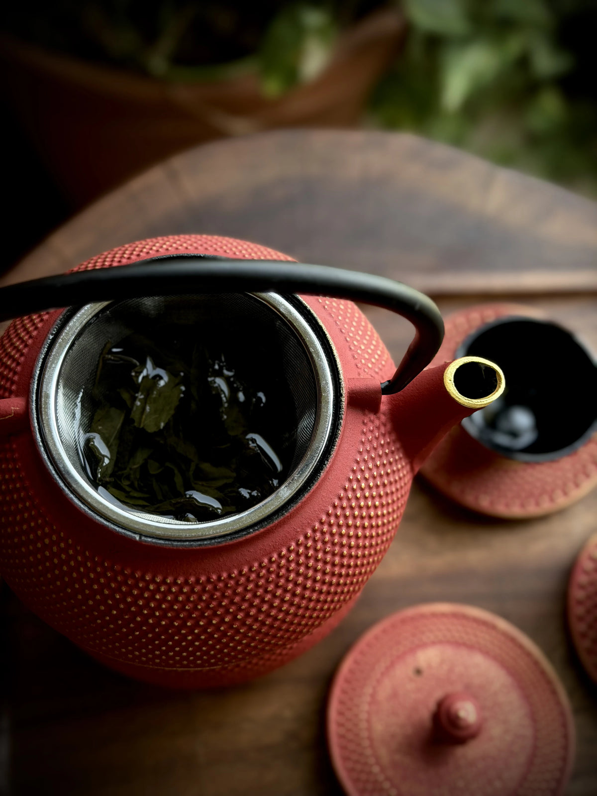 Cast Iron Japanese Tea Set