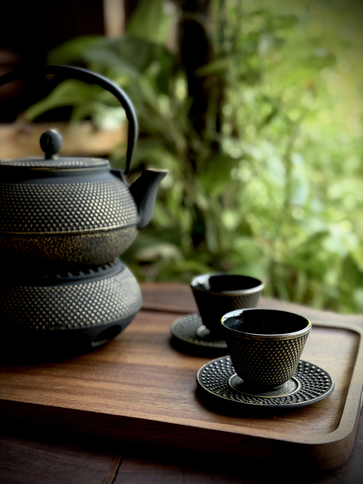 Cast Iron Japanese Tea Set