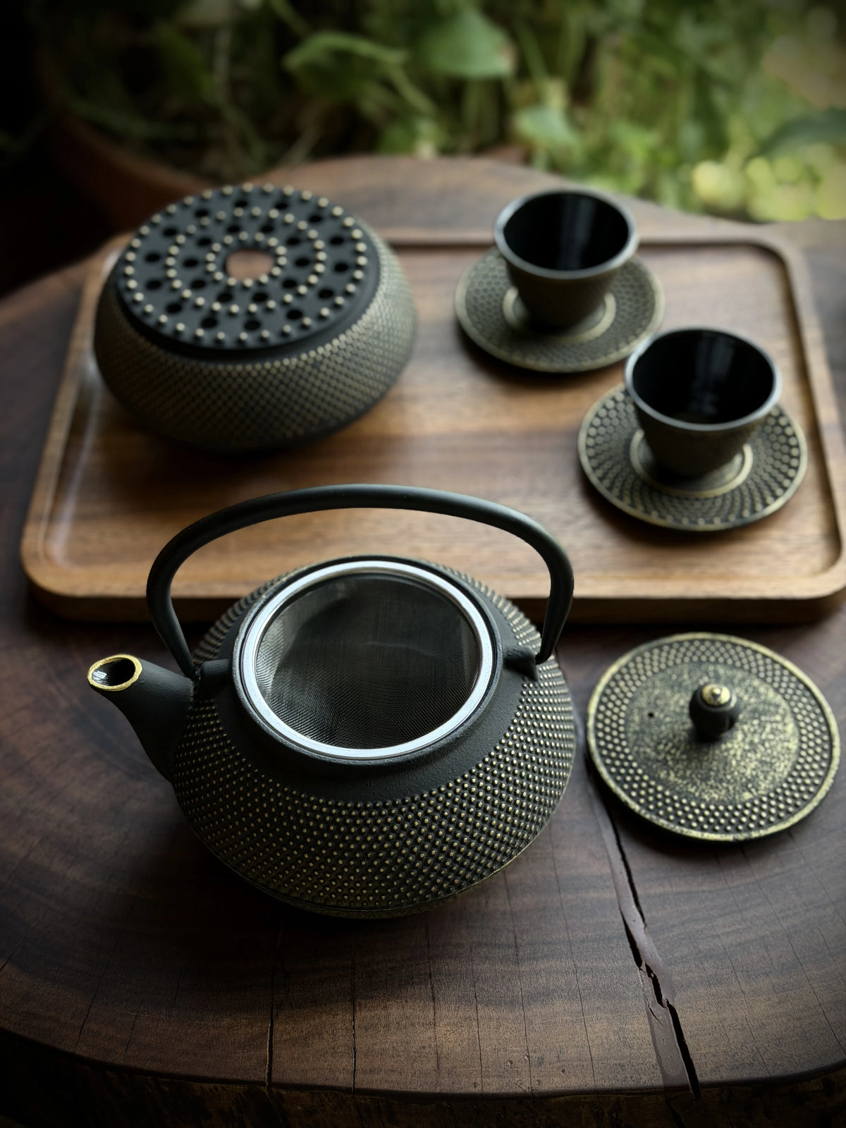 Cast Iron Japanese Tea Set