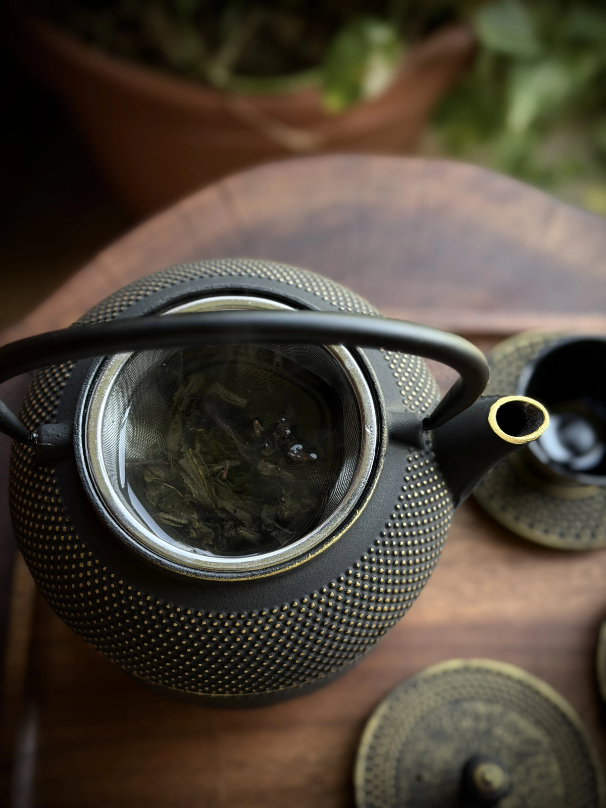 Cast Iron Japanese Tea Set