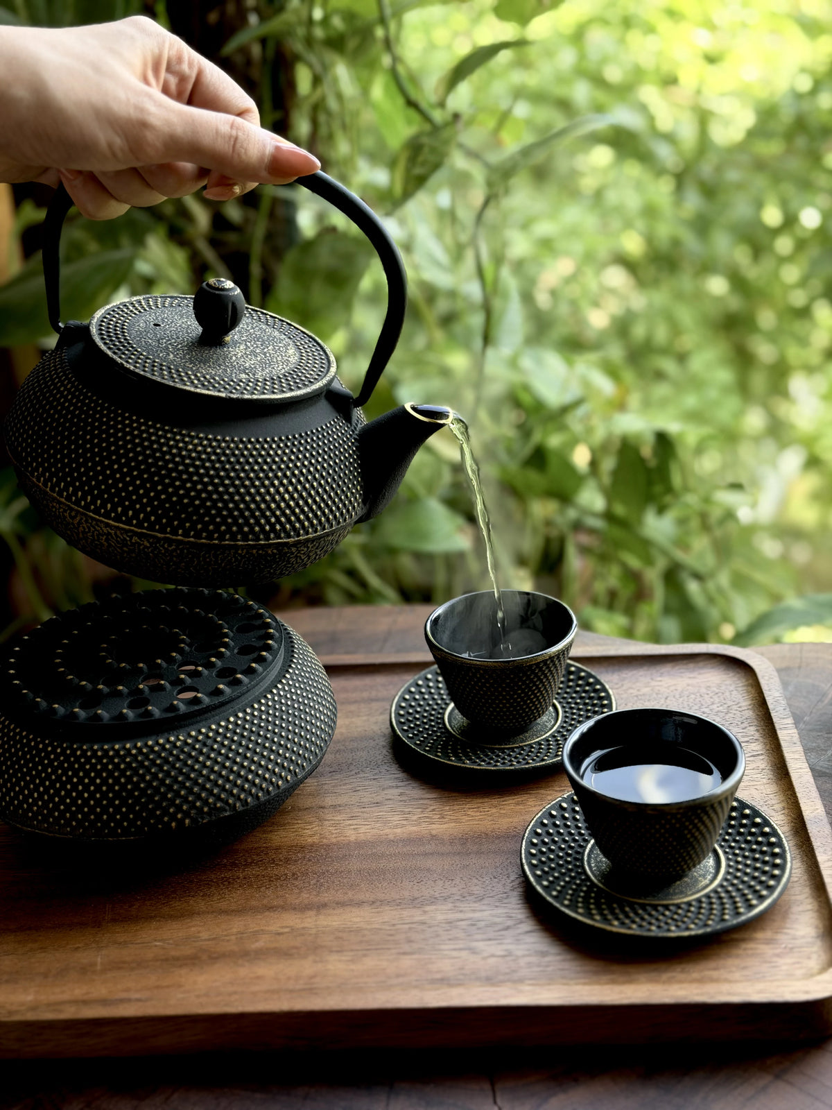 Cast Iron Japanese Tea Set