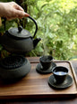 Cast Iron Japanese Tea Set
