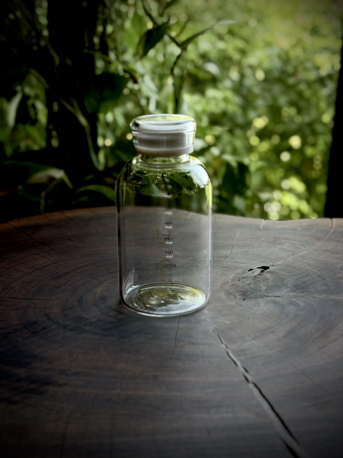 Glass Water Bottle