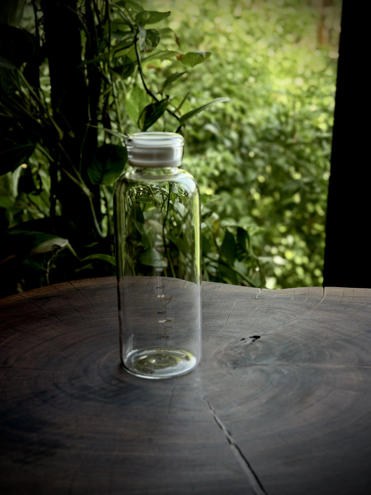 Glass Water Bottle
