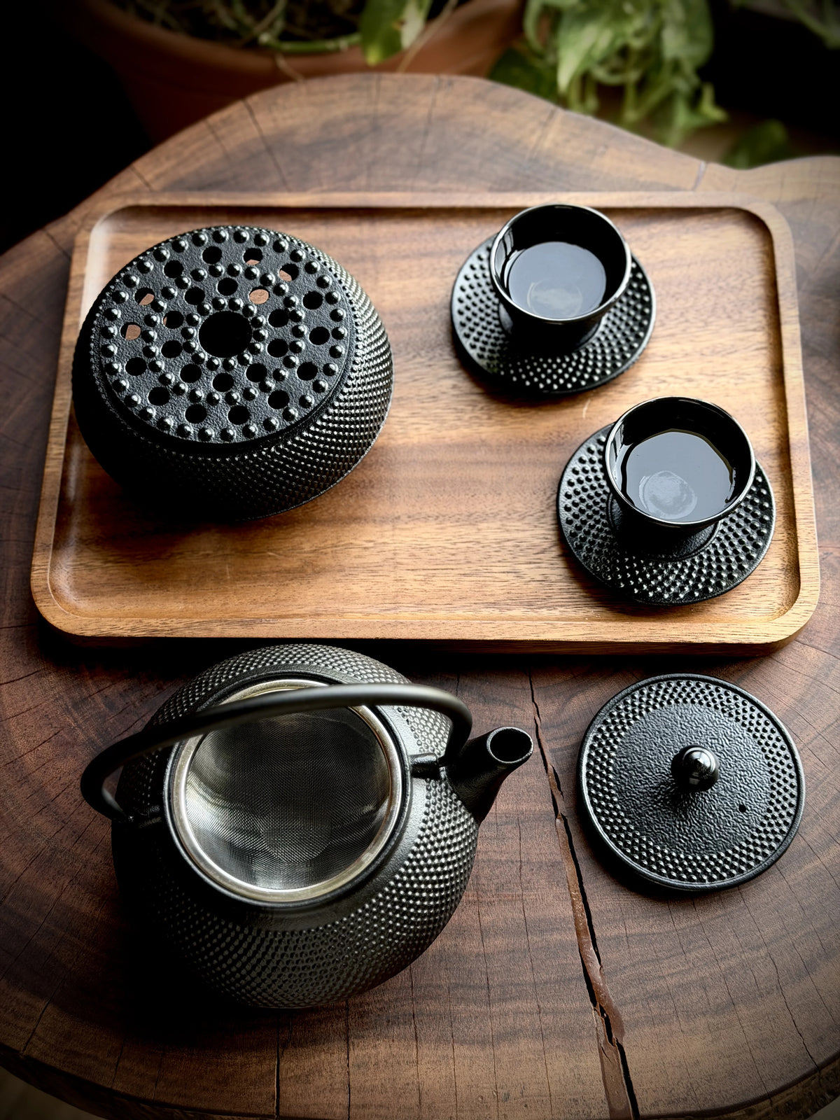 Cast Iron Japanese Tea Set
