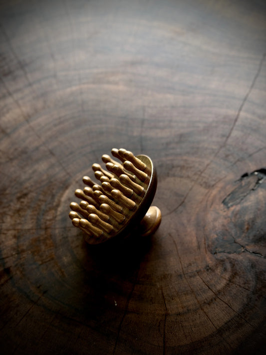 Wooden Scalp Massage Brush